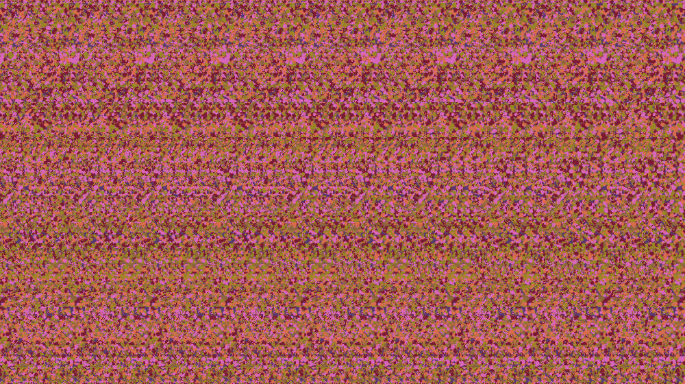 Practice stereogram, step 4. A hidden word appears in 3D.